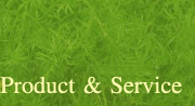 Product & Service